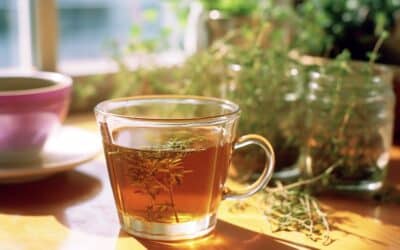 Tisane et infusion de thym: Découvrez les différents dangers et bienfaits