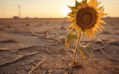 Environnement : L’impact du changement climatique sur notre santé